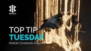 Top Tip Tuesday  Particle Constraints Mapping [upl. by Emersen907]