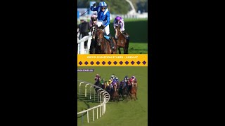 What a finish in the WAYI QIPCO Champion Stakes [upl. by Winshell398]