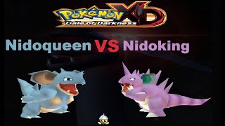 Pokemon XD Nidoking VS Nidoqueen [upl. by Eirhtug627]