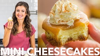 Easy Mini Cheesecakes With Caramel Sauce  Natashas Kitchen [upl. by Orecul772]