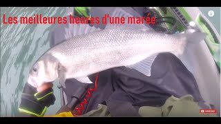 Pêche les meilleures heures dune marée [upl. by Broome586]