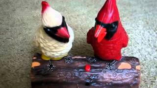 Singing Cardinal Couple [upl. by Mozart]