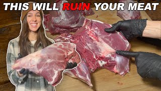 How to Remove the Gland From a Deer Hindquarter  BUTCHER DEER AT HOME [upl. by Tyika810]