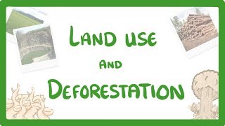 GCSE Biology  Land Use  Deforestation amp Peat Bogs 92 [upl. by Eppesuig]