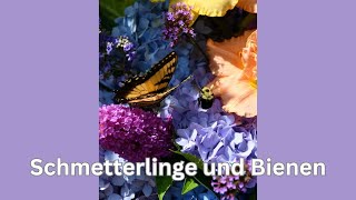 Schmetterlinge und Bienen [upl. by Burne895]