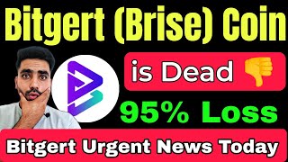 Bitgert Brise Coin is Dead ❌⛔  Brise coin urgent news today  Bitgert Coin Price Prediction [upl. by Gaven]