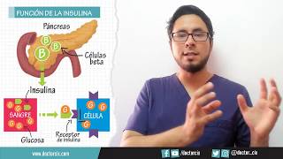 DIABETES TIPO 1 Y TIPO 2 [upl. by Elton648]