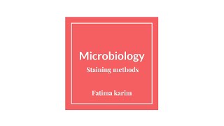 Microbiology طب اسنان مرحلة ثالثة prepration of smearsstaining methods [upl. by Hoem932]