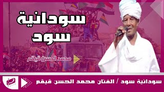 سودانيةسود  الفنان قيقم  اجمل الأغاني الحماسية  فرسان الكمين في النزال باينين [upl. by Aiuqenehs168]