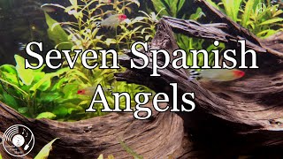 Seven Spanish Angels w lyrics  Ray Charles amp Willie Nelson Version [upl. by Eirrot]