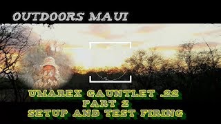 Umarex Gauntlet 22 Setup Test Firing and Review Part 2 [upl. by Enirolf388]