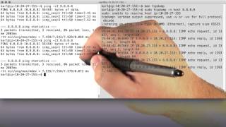 Watching Ping and DNS in tcpdump [upl. by Mott75]