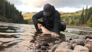 Skeena Steelhead 2020 [upl. by Animaj]