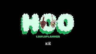 LUIFLUFLAMMER  HOO LYRICS VIDEO [upl. by Ellmyer]