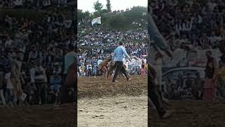 Sunil Zirakpur ki kanta kushti dangal Fagu Talai Shimla 29092024 🔥🔥🔥 [upl. by Cass]