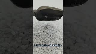 Expanded Horticulture Perlite for Greenhouse Hydroponic Plants perlite hydroponicsfarming [upl. by Nerua]