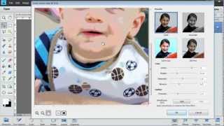 Photoshop Elements 11 Comic Filter [upl. by Attenauqa]