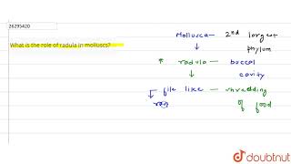 What is the role of radula in molluscs [upl. by Jeffers]