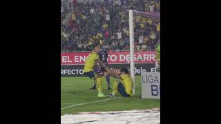 ¿De Zendejas o de Brian 🤔 ¡Golazo como sea 🦅🔝 futbol clubamerica [upl. by Rovaert]