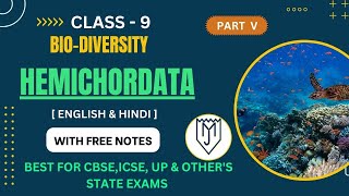 HEMICHORDATA  HEMICHORDATA PHYLUM  HEMICHORDATA IN HINDI  HEMICHORDATA ONESHOT BIODIVERSITY [upl. by Nagol]