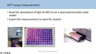 BE553 Topic 2 Tutorial 2 Analysing viability assays and IC50s [upl. by Arluene101]