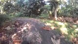 Fat Bike Adventure Ride at Mandai Trail T15 on 29 November 2014 [upl. by Atilek]