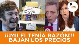 MILEI TENÍA RAZÓN LAS EMPRESAS RECAPACITAN Y EMPIEZAN A BAJAR LOS PRECIOS [upl. by Juley]