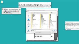 Creating a Western Blot Figure in ImageJ [upl. by Nojid]