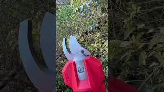 Milwaukee M12 Shears Initial Test [upl. by Ellennahc]