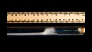 Diffusion in action  The reaction of ammonia and hydrogen chloride demonstration [upl. by Tybald365]