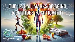 The 14 Hallmarks of Aging amp Peptides to Mitigate It [upl. by Baudelaire711]