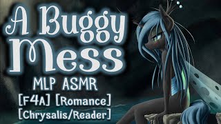 MLP ASMR A Buggy Mess by BradyBunch Romance  ChrysalisReader  F4A [upl. by Doreen]