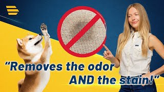 Whats the Best Way to Treat Pet Urine Stains UnDuzIt Unleashed [upl. by Ettevahs]