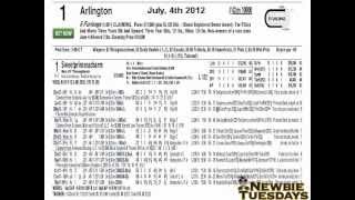 Pt 2 How To Read Horse Racing Past Perfomances  Night School Newbie Tuesday [upl. by Elakram264]