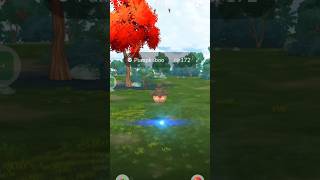 See how I Catch a Pumpkaboo in Pokemon go pokemon pokemongo [upl. by Fotinas907]