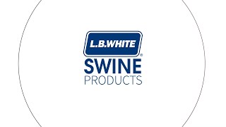 LB White Swine Products [upl. by Aseena]