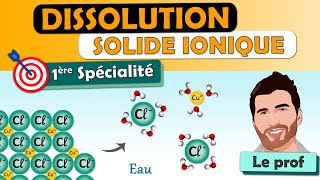 ÉQUATION de DISSOLUTION dun solide ionique  1ère spécialité [upl. by Lleral559]