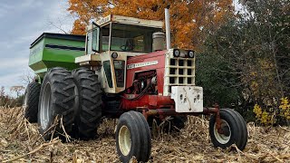 12 Minutes of 310 Turbo Waukesha Sound Cockshutt 1955 on the Buggy [upl. by Sidoney]