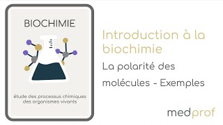 BIOCHIMIE  La polarité des molécules [upl. by Euqinor]