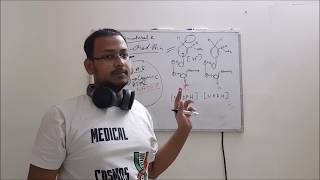 Biochemistry Discussion  NADPHNADH Difference Explained need of both amp Structural Analysis [upl. by Bamby577]