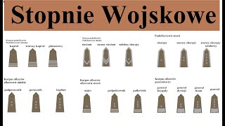 Stopnie wojskowe w Polsce  proste omówienie i opis [upl. by Annawoj]