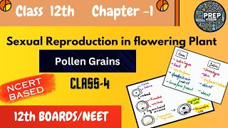 Class 12th Biology  Ch  1 Lec 4  Pollen Grains  Structure Development and Applications EN [upl. by Petrie904]