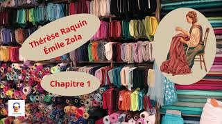 Thérèse Raquin  Émile Zola  Chapitre 1  Livre Audio Gratuit [upl. by Ajin387]