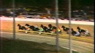 Harness RacingGlobe Derby Park24021990 InterDominion Grand Final ThorateHJames [upl. by Rap]