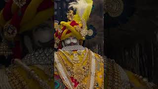 happy trendingshorts shyaam shyambaba baba khatushyam viralvideo video trending [upl. by Lesslie]