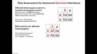 Basic Genetics 3 Autosomal Inheritance [upl. by Pihc]