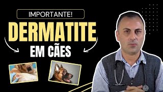 Dermatite EM cães [upl. by Timofei666]