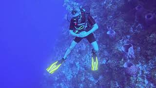 Cozumel dive experience [upl. by Norabal]