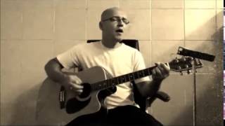 David Gilmour Cover Dimming of the Day  Paulo Lima [upl. by Anyl]