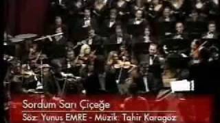 Sordum Sarı Çiçeğe  Orkestra Versiyon [upl. by Susette]